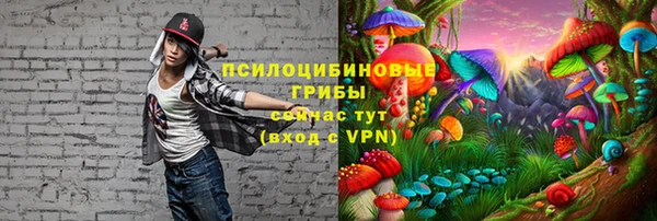 спиды Аркадак