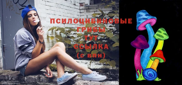 спиды Аркадак