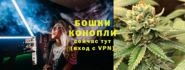 спиды Аркадак