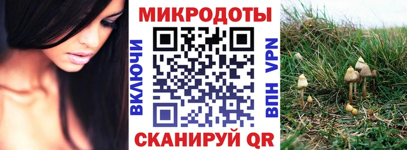 купить   Ржев  Псилоцибиновые грибы мухоморы 